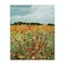Stupell Industries Vivid Meadow Abstraction Canvas By Carol Robinson